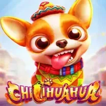 Aplicativo EvolveCasino